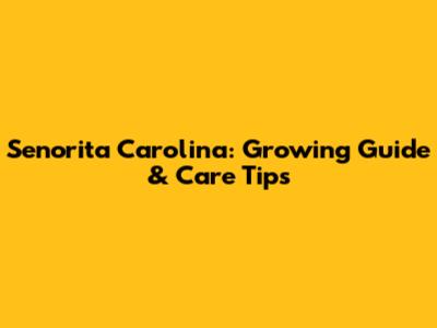 Senorita Carolina: Growing Guide & Care Tips