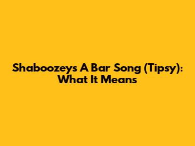 Shaboozey's 'A Bar Song (Tipsy)': What It Means