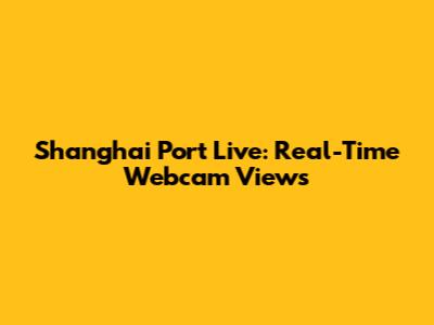Shanghai Port Live: Real-Time Webcam Views
