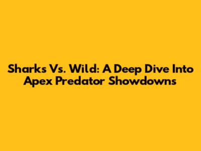 Sharks Vs. Wild: A Deep Dive Into Apex Predator Showdowns