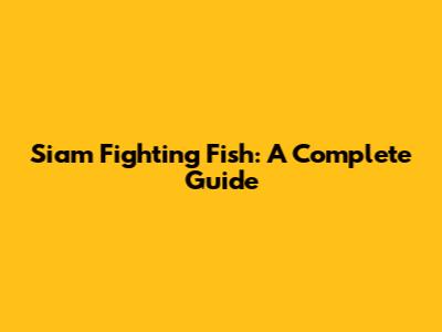 Siam Fighting Fish: A Complete Guide