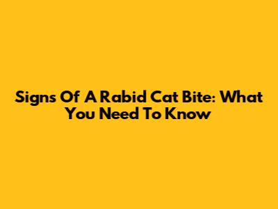 Signs Of A Rabid Cat Bite: What You Need To Know
