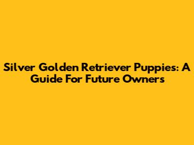 Silver Golden Retriever Puppies: A Guide For Future Owners