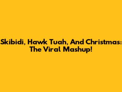 Skibidi, Hawk Tuah, And Christmas: The Viral Mashup!