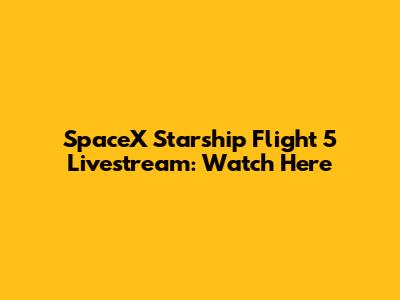 SpaceX Starship Flight 5 Livestream: Watch Here