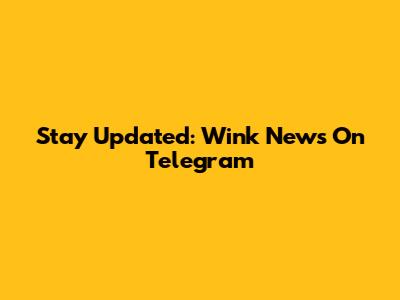 Stay Updated: Wink News On Telegram