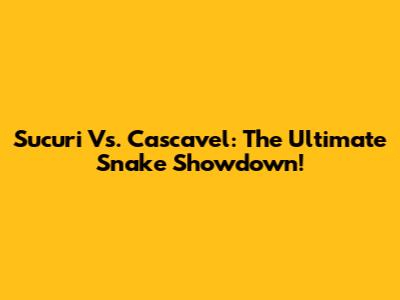 Sucuri Vs. Cascavel: The Ultimate Snake Showdown!