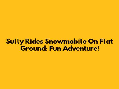 Sully Rides Snowmobile On Flat Ground: Fun Adventure!