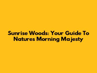 Sunrise Woods: Your Guide To Nature's Morning Majesty