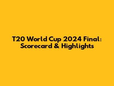 T20 World Cup 2024 Final: Scorecard & Highlights
