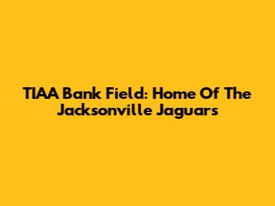 TIAA Bank Field: Home Of The Jacksonville Jaguars