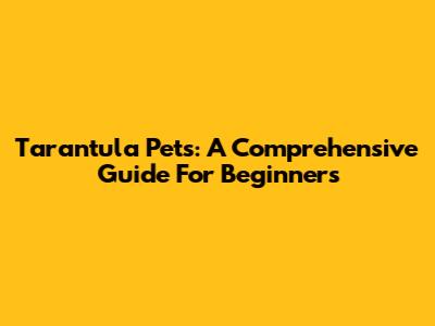 Tarantula Pets: A Comprehensive Guide For Beginners
