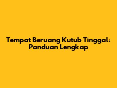 Tempat Beruang Kutub Tinggal: Panduan Lengkap