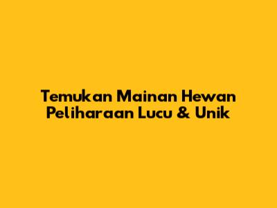 Temukan Mainan Hewan Peliharaan Lucu & Unik