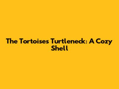 The Tortoise's Turtleneck: A Cozy Shell