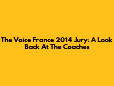 The Voice France 2014 Jury: A Look Back At The Coaches