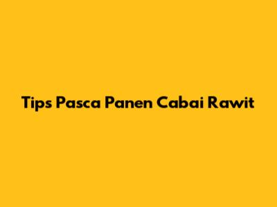 Tips Pasca Panen Cabai Rawit