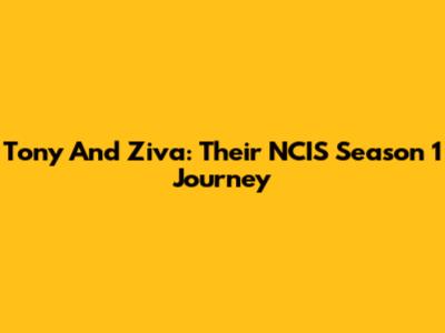 Tony And Ziva: Their NCIS Season 1 Journey