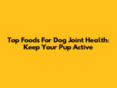 Top Foods For Dog Joint Health: Keep Your Pup Active