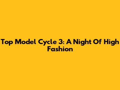 Top Model Cycle 3: A Night Of High Fashion