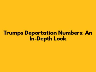 Trump's Deportation Numbers: An In-Depth Look