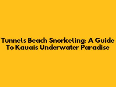 Tunnels Beach Snorkeling: A Guide To Kauai's Underwater Paradise