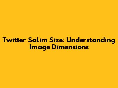 Twitter Salim Size: Understanding Image Dimensions