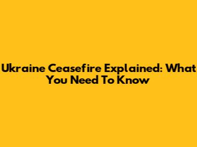 Ukraine Ceasefire Explained: What You Need To Know