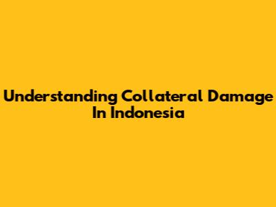 Understanding Collateral Damage In Indonesia