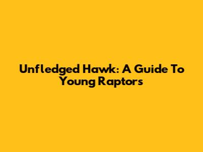 Unfledged Hawk: A Guide To Young Raptors