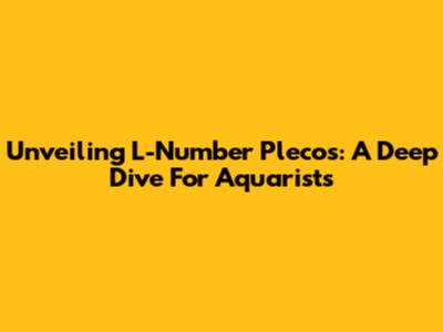 Unveiling L-Number Plecos: A Deep Dive For Aquarists