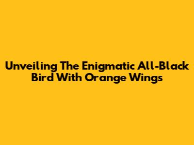 Unveiling The Enigmatic All-Black Bird With Orange Wings