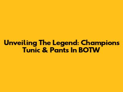 Unveiling The Legend: Champion's Tunic & Pants In BOTW