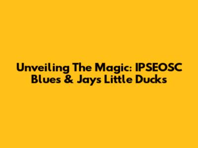 Unveiling The Magic: IPSEOSC Blues & Jays Little Ducks