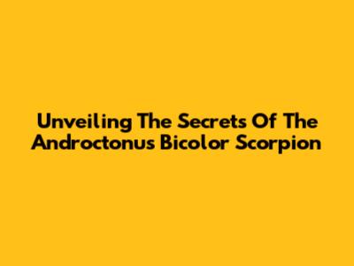 Unveiling The Secrets Of The Androctonus Bicolor Scorpion