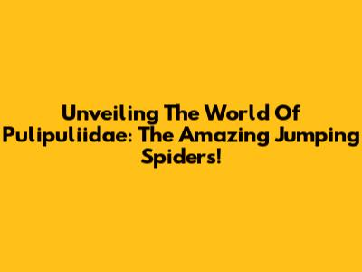 Unveiling The World Of Pulipuliidae: The Amazing Jumping Spiders!
