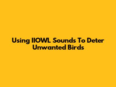 Using IIOWL Sounds To Deter Unwanted Birds