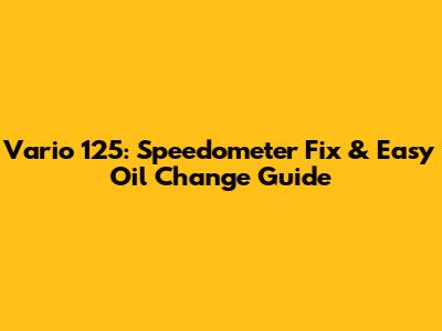 Vario 125: Speedometer Fix & Easy Oil Change Guide