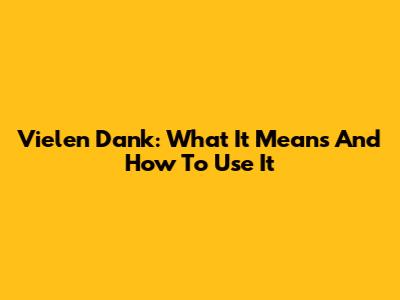 Vielen Dank: What It Means And How To Use It