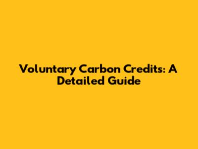 Voluntary Carbon Credits: A Detailed Guide