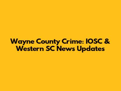 Wayne County Crime: IOSC & Western SC News Updates
