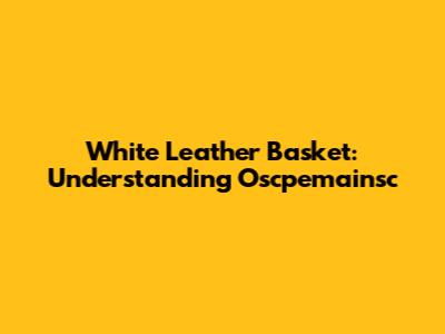 White Leather Basket: Understanding Oscpemainsc