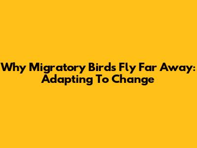 Why Migratory Birds Fly Far Away: Adapting To Change