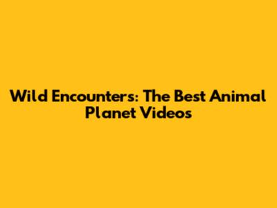 Wild Encounters: The Best Animal Planet Videos
