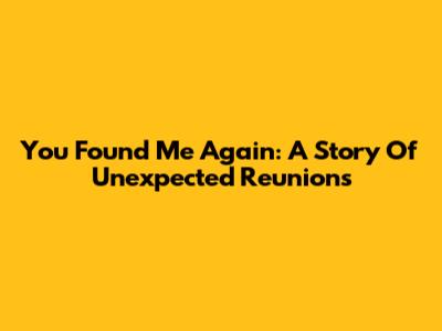 You Found Me Again: A Story Of Unexpected Reunions
