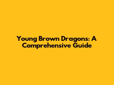 Young Brown Dragons: A Comprehensive Guide