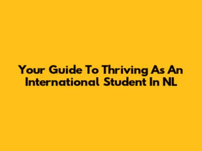 Your Guide To Thriving As An International Student In NL