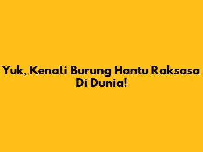Yuk, Kenali Burung Hantu Raksasa Di Dunia!