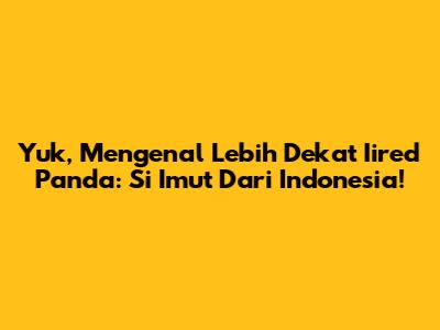 Yuk, Mengenal Lebih Dekat Iired Panda: Si Imut Dari Indonesia!