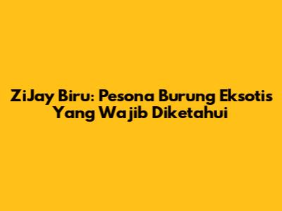 ZiJay Biru: Pesona Burung Eksotis Yang Wajib Diketahui
